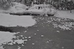 岩木山神社　池　Iwaki-san shrine   Pond